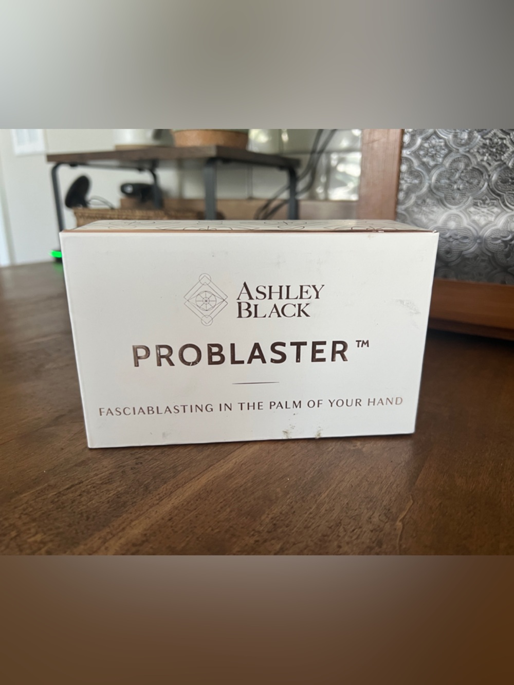 Ashley Black ProBlaster Fascia Blasting Tool - White